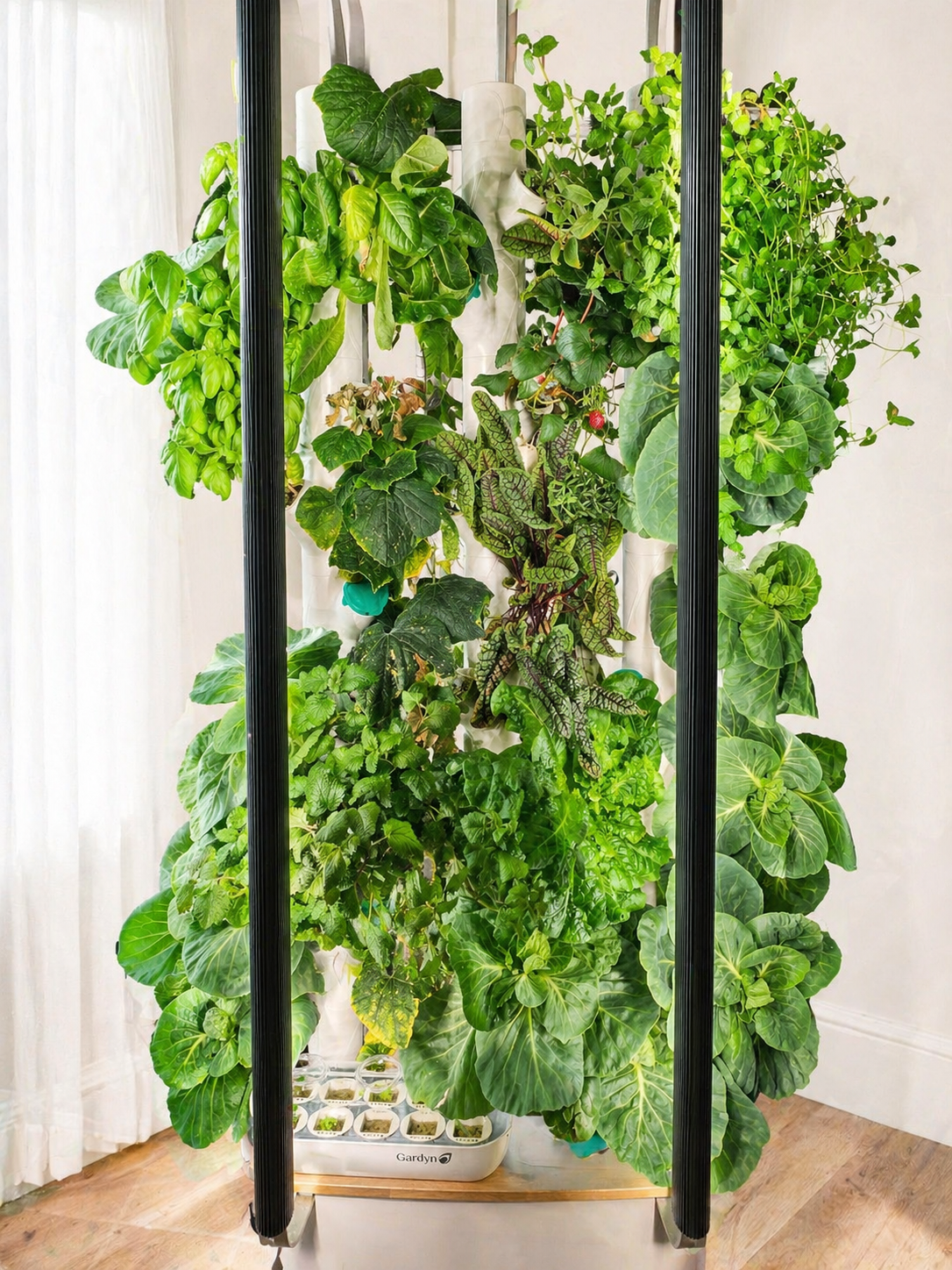 indoor smart garden flush with green herbs and produce