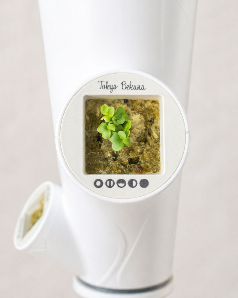indoor hydroponic garden pod showing a tokyo bekana seedling