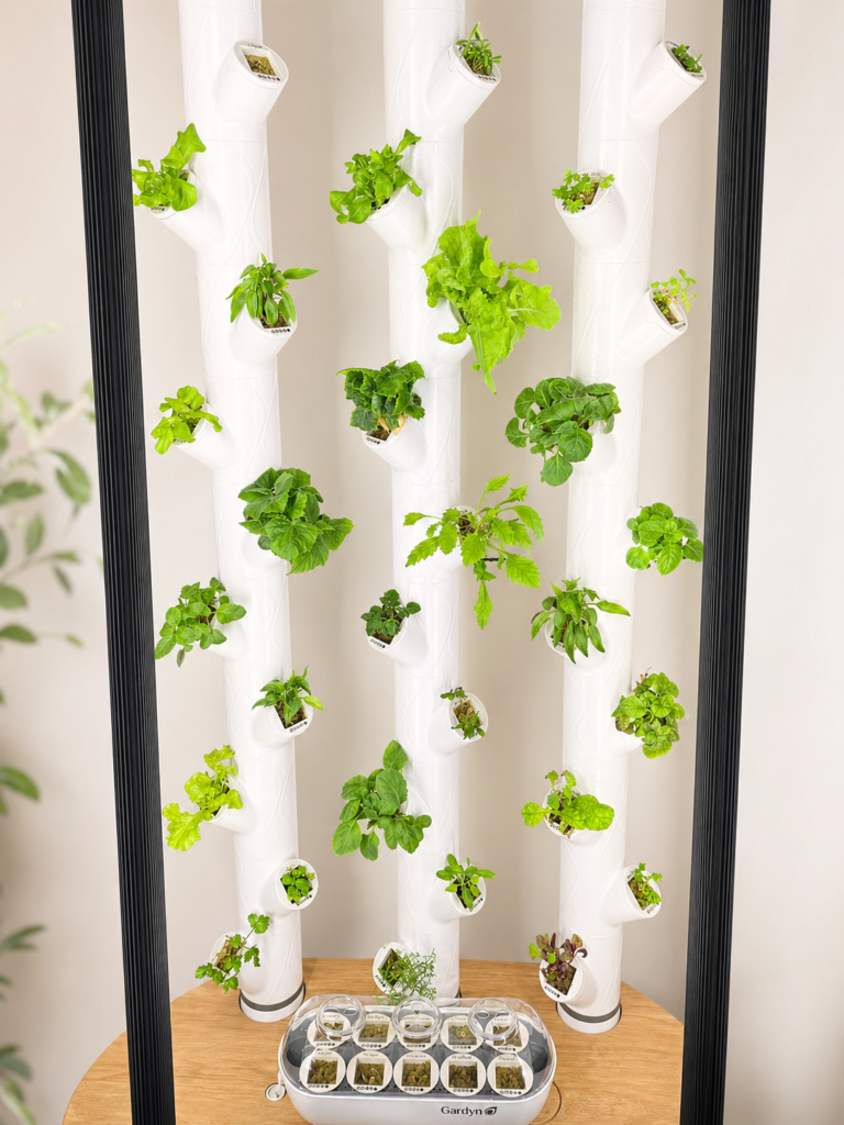 brightly lit indoor smart garden full of green seedlings