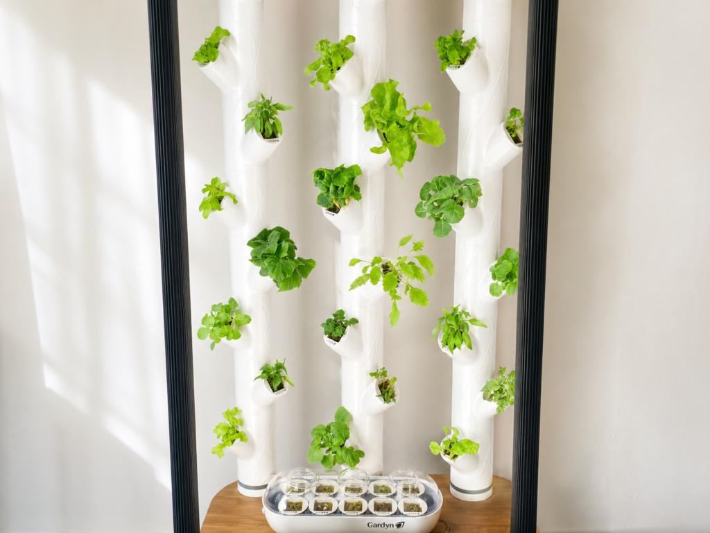 smart indoor garden with many growing plants