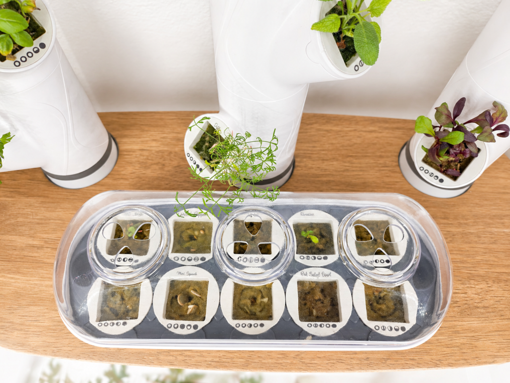 a seedling nursery sits on top of an indoor smart garden, showing seedlings beginning to sprout.