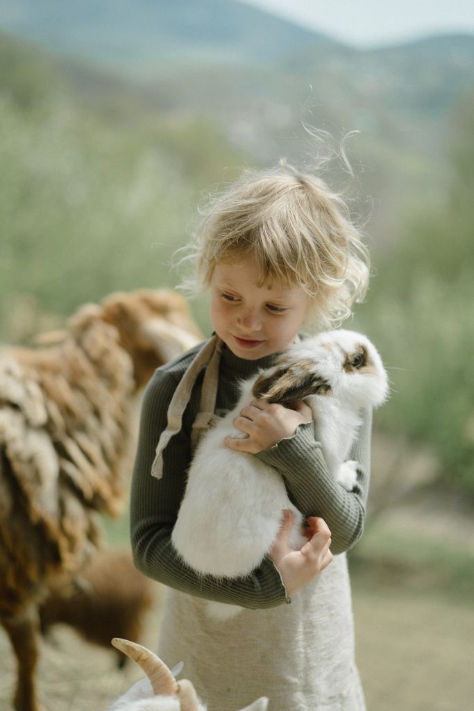 Blond child gently holding a white rabbit outdoors with sheep in the background.